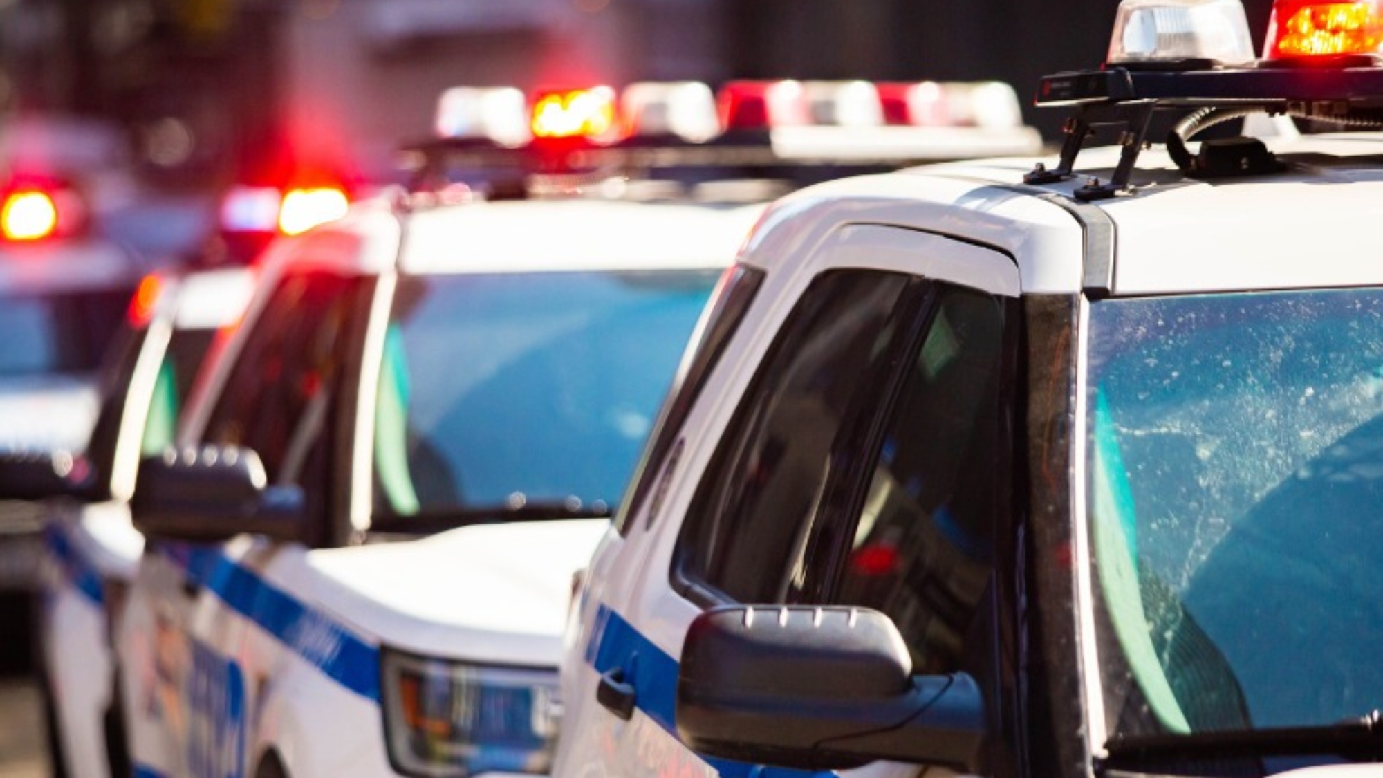 Florida Government, Unlike New York, Preserves Government’s True Purpose: To Secure Our Rights