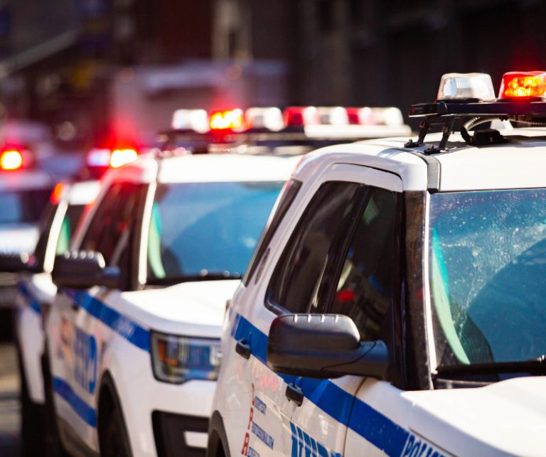 Florida Government, Unlike New York, Preserves Government’s True Purpose: To Secure Our Rights
