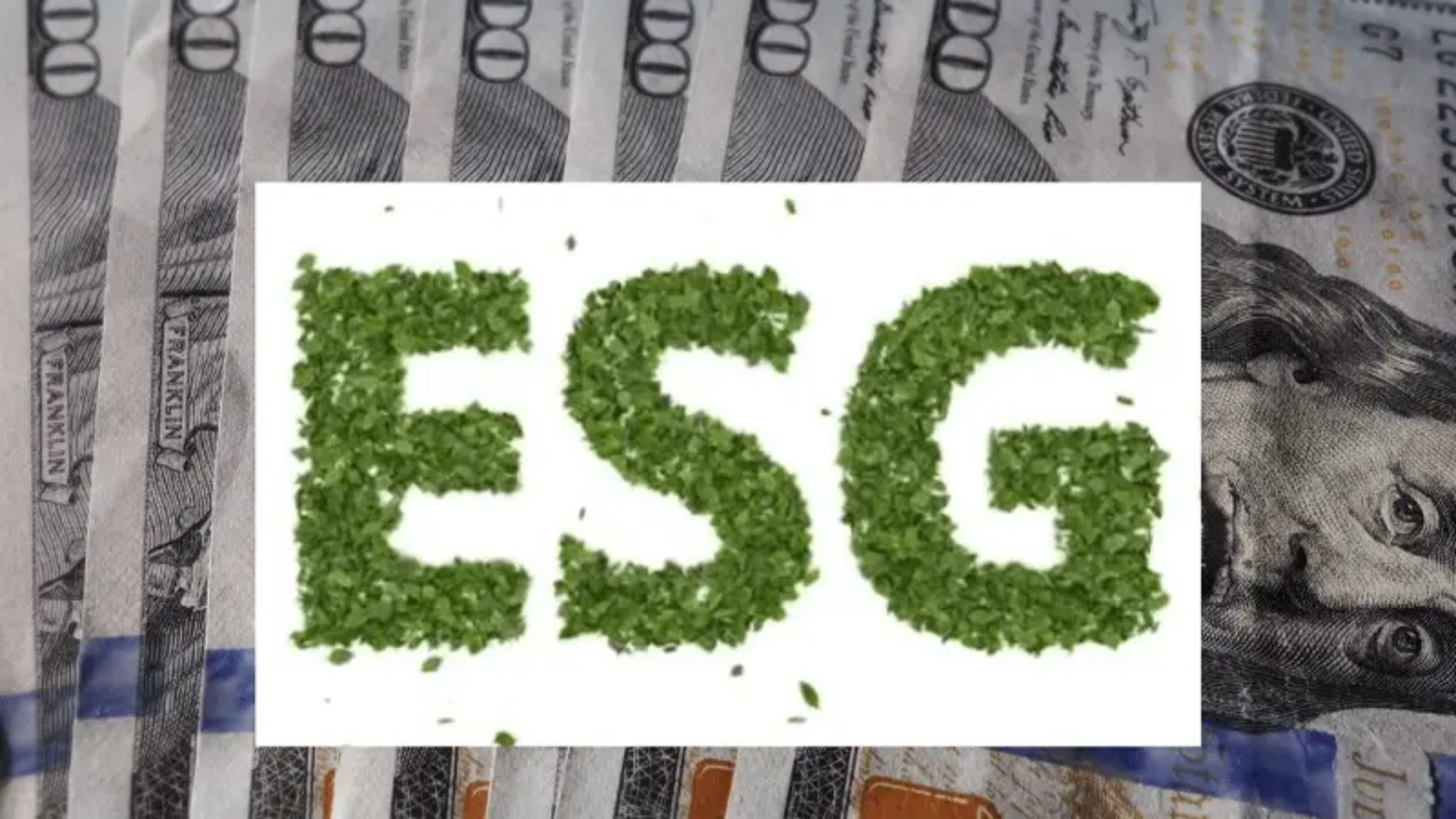 ESG Investing