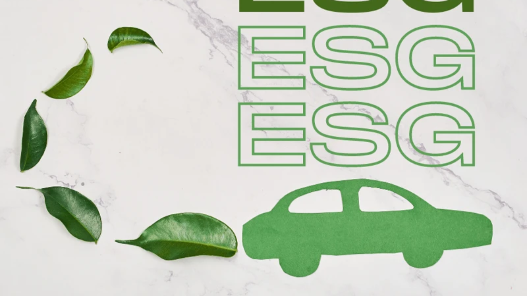 ESG investing may be popular, but be careful: there are many things to dislike.
