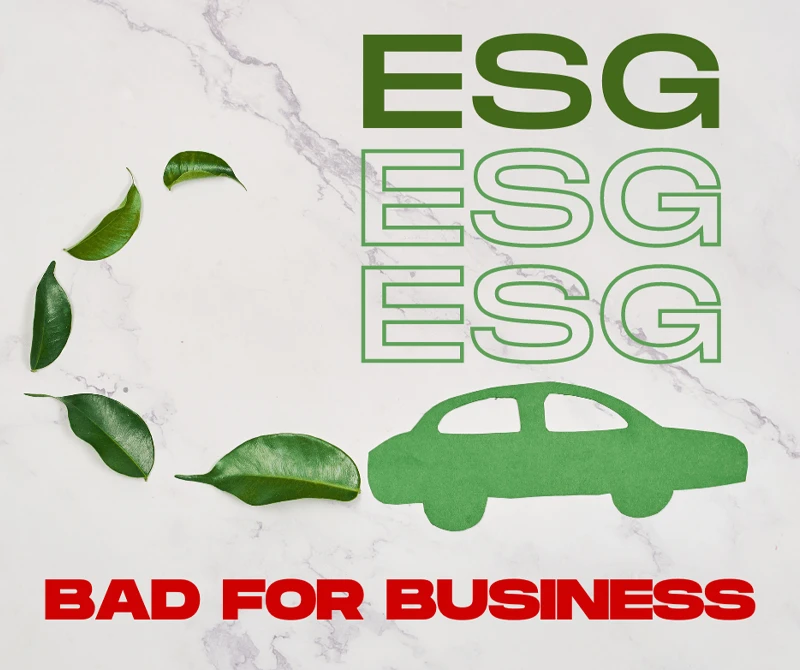 ESG investing may be popular, but be careful: there are many things to dislike.