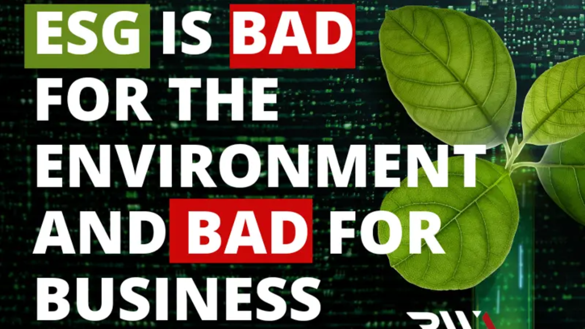 CEOs follow ESG guidelines despite not agreeing with the ESG raters about the long-term value of their companies.