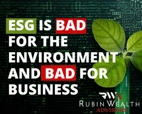 CEOs follow ESG guidelines despite not agreeing with the ESG raters about the long-term value of their companies.