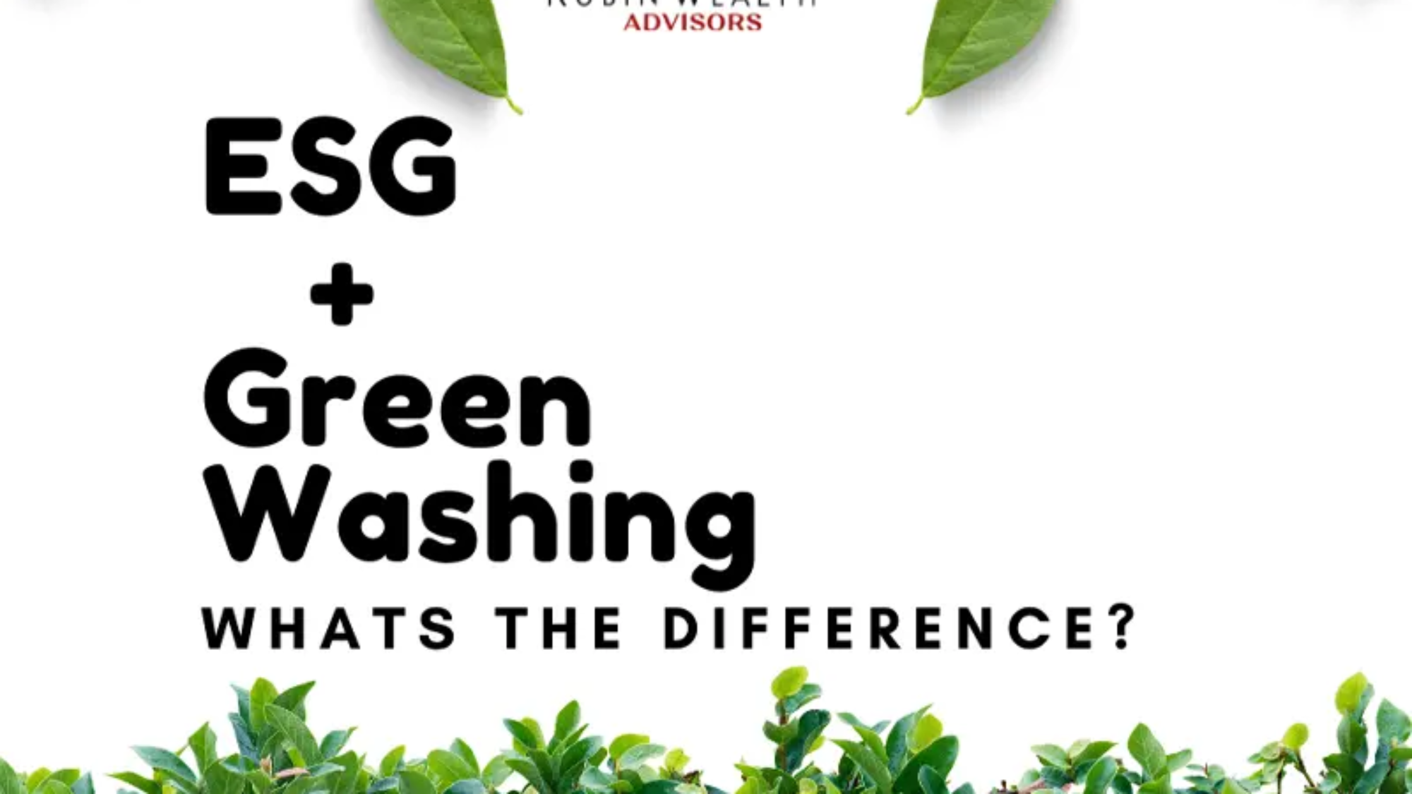 Is ESG a form of Greenwashing?